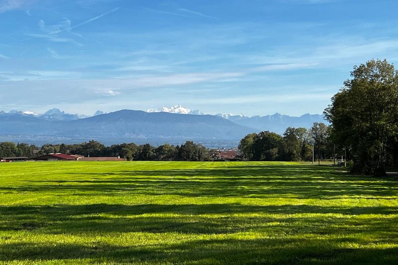Une grande prairie au soleil, bordée d'arbres, et au loin les sommets enneigés du Mont-Blanc sous un ciel bleu